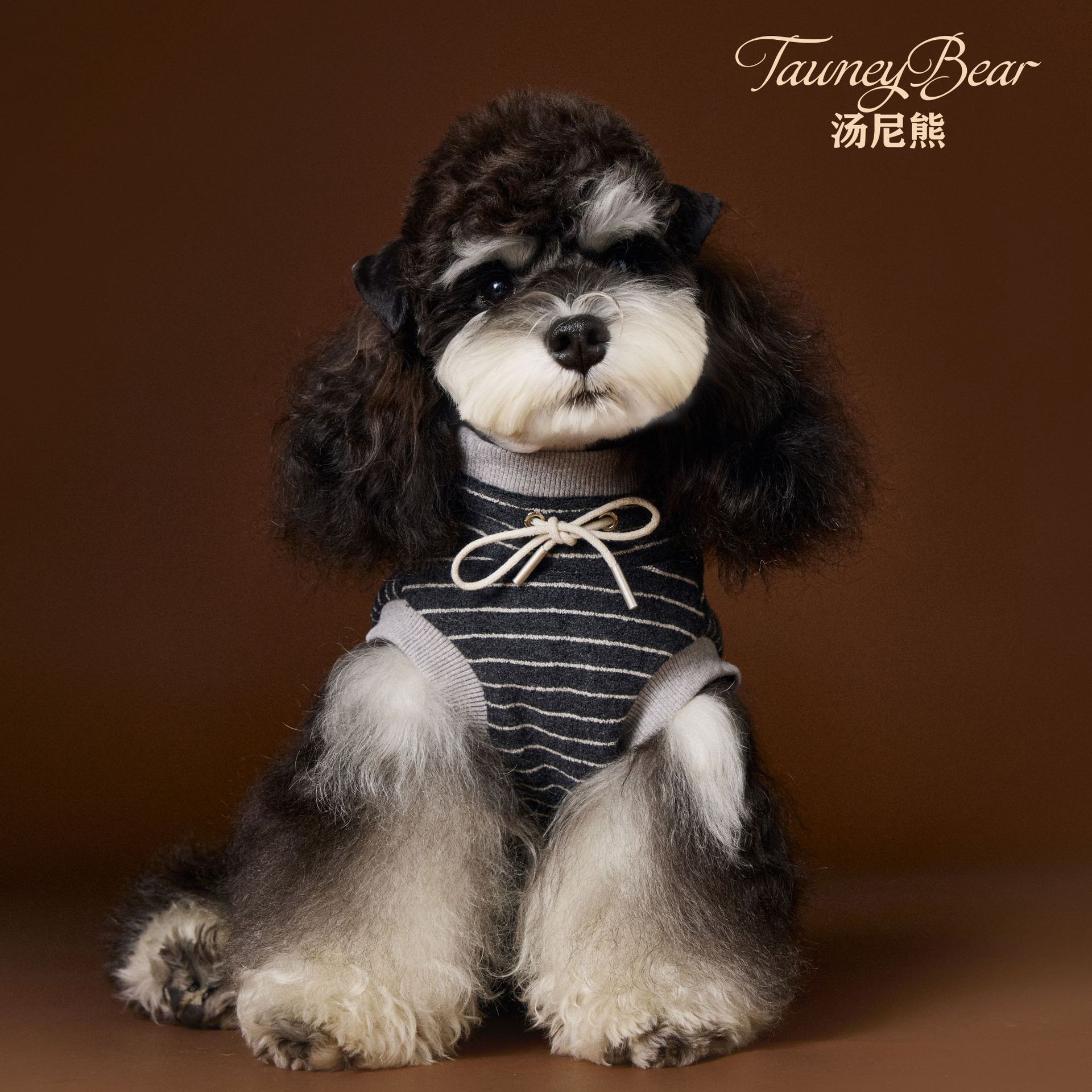 Tony Bear Dog Clothes Autumn Striped Sleeveless Schnauzer Teddy Bichon Maltese Yorkshire Sweatshirt