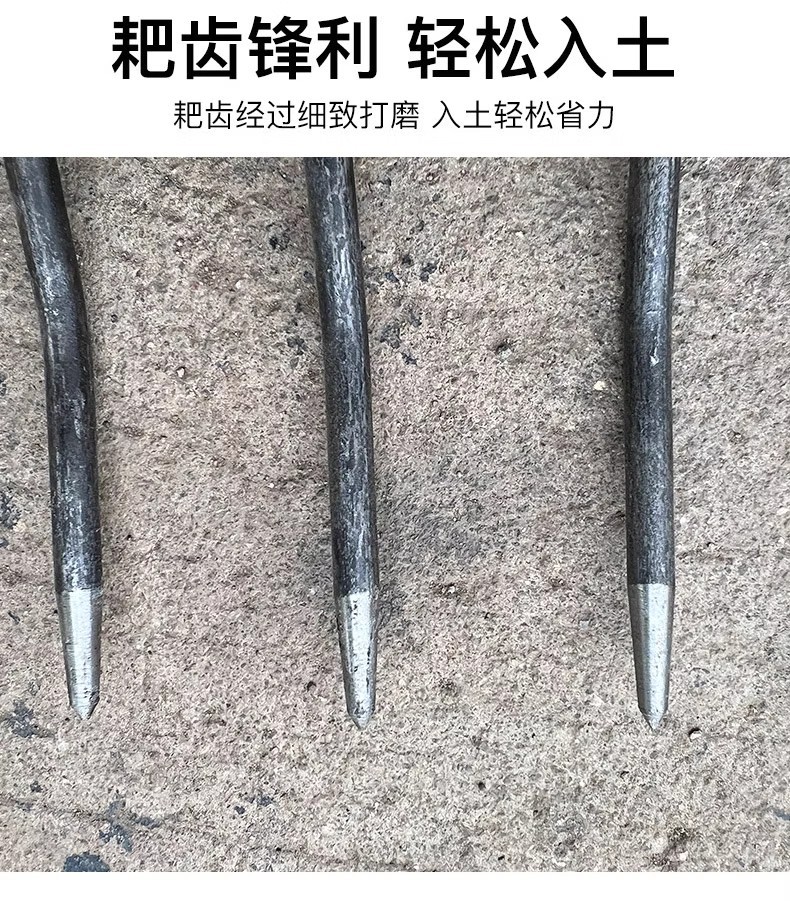 O1CN01uuTjnr1hvJHxnjmFz_!!2213