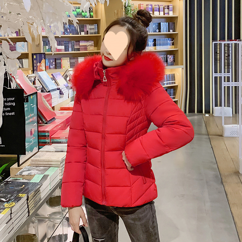 Camacos cortos de algodón para mujeres nuevos cuellos de lana coreanos delgados sombrero desmontable cálido chaqueta de algodón de invierno