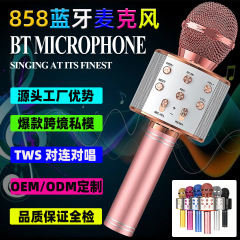WS858ブルートゥースマイク無線マイク子供手持ちk歌宝LEDライト付き音響工場優勢代発