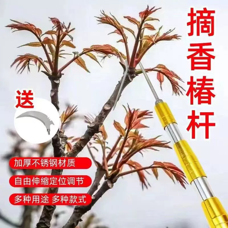 Сбор артефакт Toon из нержавеющей стали телескопический стержень на открытом воздухе