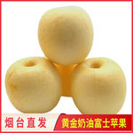 正宗山东烟台黄金奶油小苹果新鲜当季整箱冰糖心包邮一件代发
