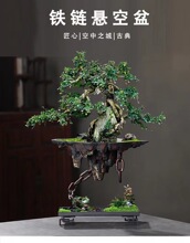 文竹肉大号铁家居天空式创意多艺造景悬挂客厅盆装饰花盆花盆之城