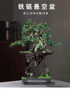 �Fˇ�Ғ�ʽ���脓�����֮�ǼҾӿ͏d�b�������⻨���̖�쾰��