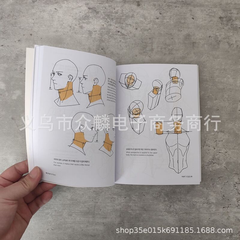 シークレットキャラクタードラッグウイング秘密キャラクター絵画人体構造スケッチ絵本|undefined