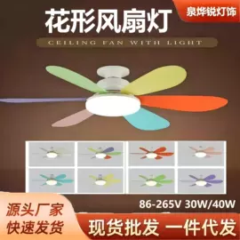 风扇灯;太阳能灯;植物生长灯