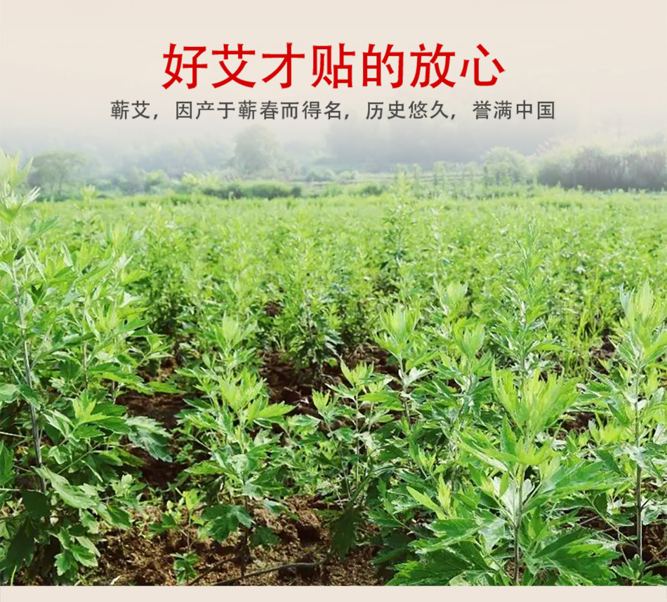 艾灸贴单片-铝箔袋_05.jpg