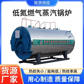 蒸汽发生器;特种锅炉;燃气锅炉