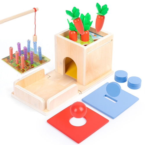 5 in 1 Montessori Wooden Permanent Box Coin Box Pull Carrot Shape Sorter Toddler Learning Toy