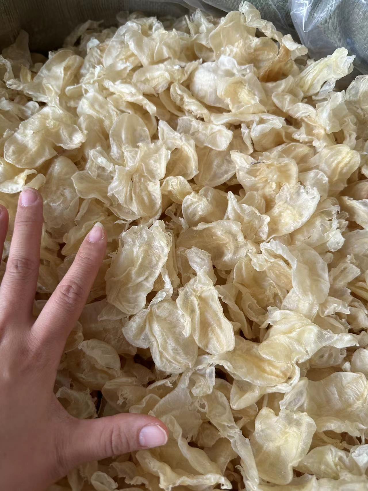 微信图片_20230212151257