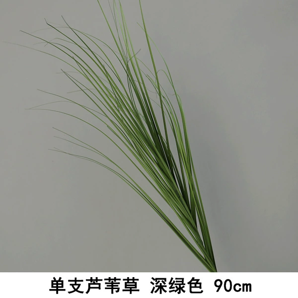 Single reed grass green [60cm].