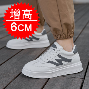 ���ļ��¿��[�΃�������Ь6cm͸���׳����\��Ь����Ь���e��Ь