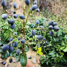 �ڙ��˹�ˇ�ϙ������ϙ�������޽Ӟ����ϱ����N���ϙ����