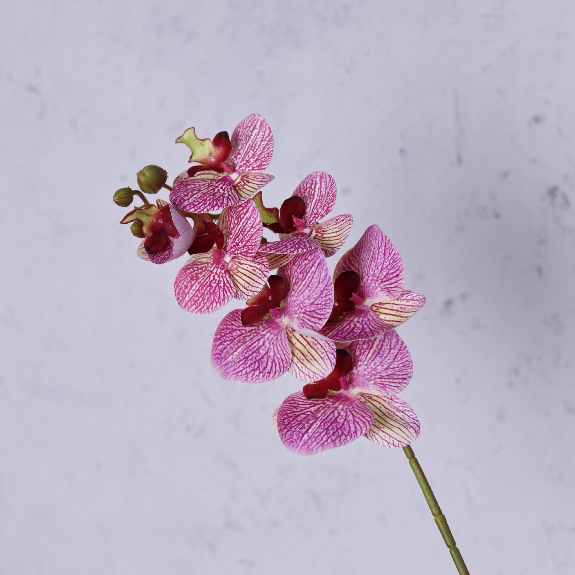 Impresión 3D de 7 cabezas de orquídeas mariposa flor de decoración de flores de alto nivel flor de nicho decoración floral decoración de sala de estar