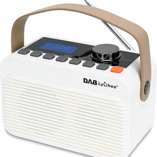 Factory Direct Sales Amazon European Best-Selling Dab Dab+ Radio Fm Bluetooth Audio Display Alarm Clock