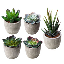 仿真多肉盆栽塑料植物盆景多肉纸浆盆桌面迷你摆件室内外装饰批发