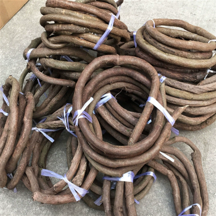 Искусственная сушеная лоза полоса Сельский пейзаж украшение сушеная лоза твердая древесина бревно красная горная лоза Виноградная лоза пейзаж оптом