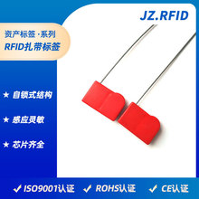钢丝绳RFID铅封扎带制作 货物运输管理智能塑料防盗防拆电子标签