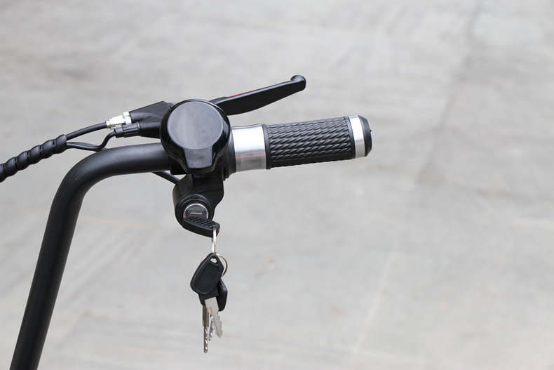 Harley-Style Electric Scooter, Small Harley-Style Electric Scooter, 48V Harley-Style Scooter, Citycoco Harley