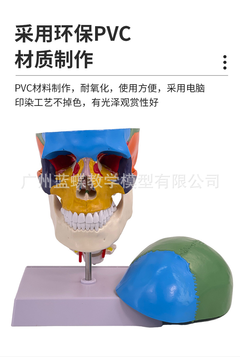 彩色头骨-详情页_08
