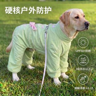 ����Ȯ�����ļ��������_�����´�����K���xƤ�w͸��Ӽҷ���ë��