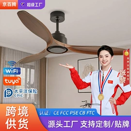 风扇灯;吸顶灯;吊灯