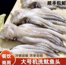 冷冻机洗鱿鱼头鱿鱼爪速冻八抓鱼火锅铁板烧烤食材海鲜水产批发