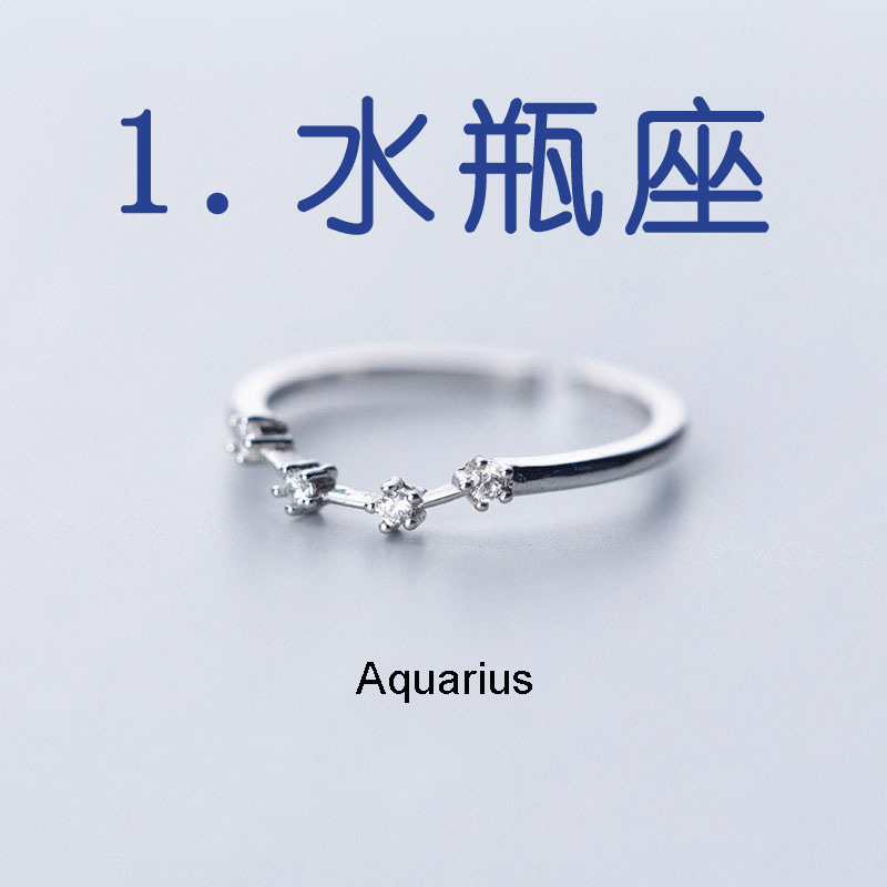 Cross-border hot sale zircon silver plated twelve constellations open adjustable ring fashion women constellation ring factory wholesale