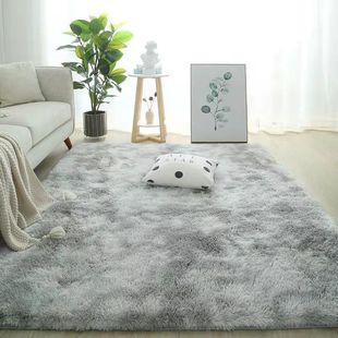 Long-Haired Carpet, Living Room, Sofa, Coffee Table, Bedroom, Cute Bedside Mat, Girl's Room, Bay Window Balcony Carpet