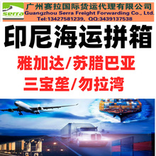 ӡ\ƴׯ ӡ\ƴ ż_ ź\