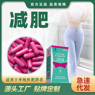 ���f�p���z����������z�ҷ��������|���~�{ñ�p�ʬF؛���l���l