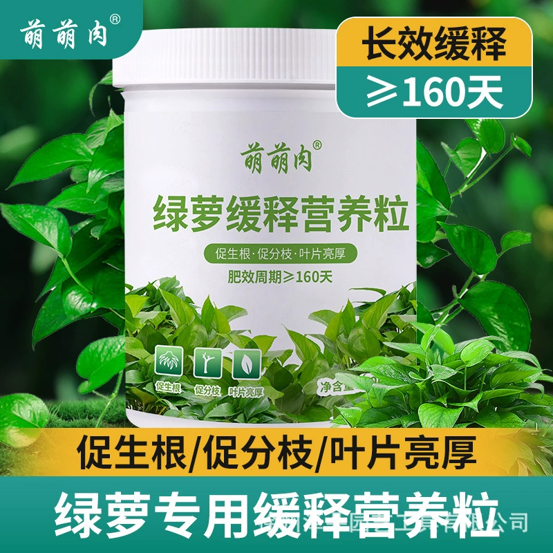 Специальное садовое удобрение зеленого укропа способствует укоренению и ветвям