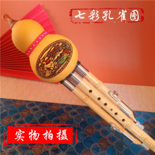 �߲ʿ�ȸ��Ȼ����������J�z�̌W������C/��B�{/F/G�{������J�z