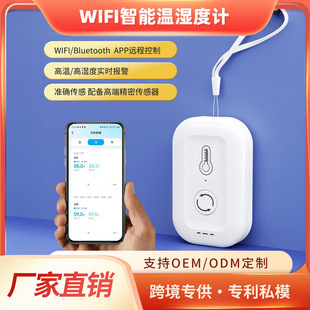 Temperature and Humidity Meter with Bluetooth and Wifi Dual-Mode, App Time Monitoring, High-Precision Portable Mini Thermometer for Temperature Measurement