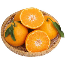 �Ĵ��ҰҸ̮a��ֱ�l�������ڰҰҸ̰��]���rˮ���ҰҸ�һ�����l