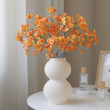 �羳��Ʒ�����L֦3��С�r�� ��@��c�zӰ�b��ĵ��ŷ���ջ�