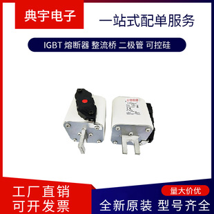Fuse 170m6238 6239 6240 6241 6242 6243 6244 Complete Models