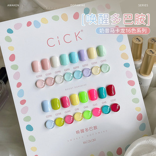 12ɫ�R���������z2025���������¿�����ɫ�ǹ���Ͱ������z���b�z