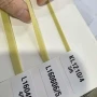 弹力薄款丈根