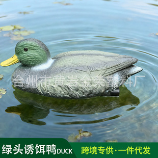 �羳��������G�^�������C�T�DDUCK �@��ͥԺ�b�ˮ���쾰����