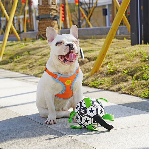 Amazon Pet Football Dog Football Toy Supplies Outdoor Multifunctional Interactive Dog Ball with Rope