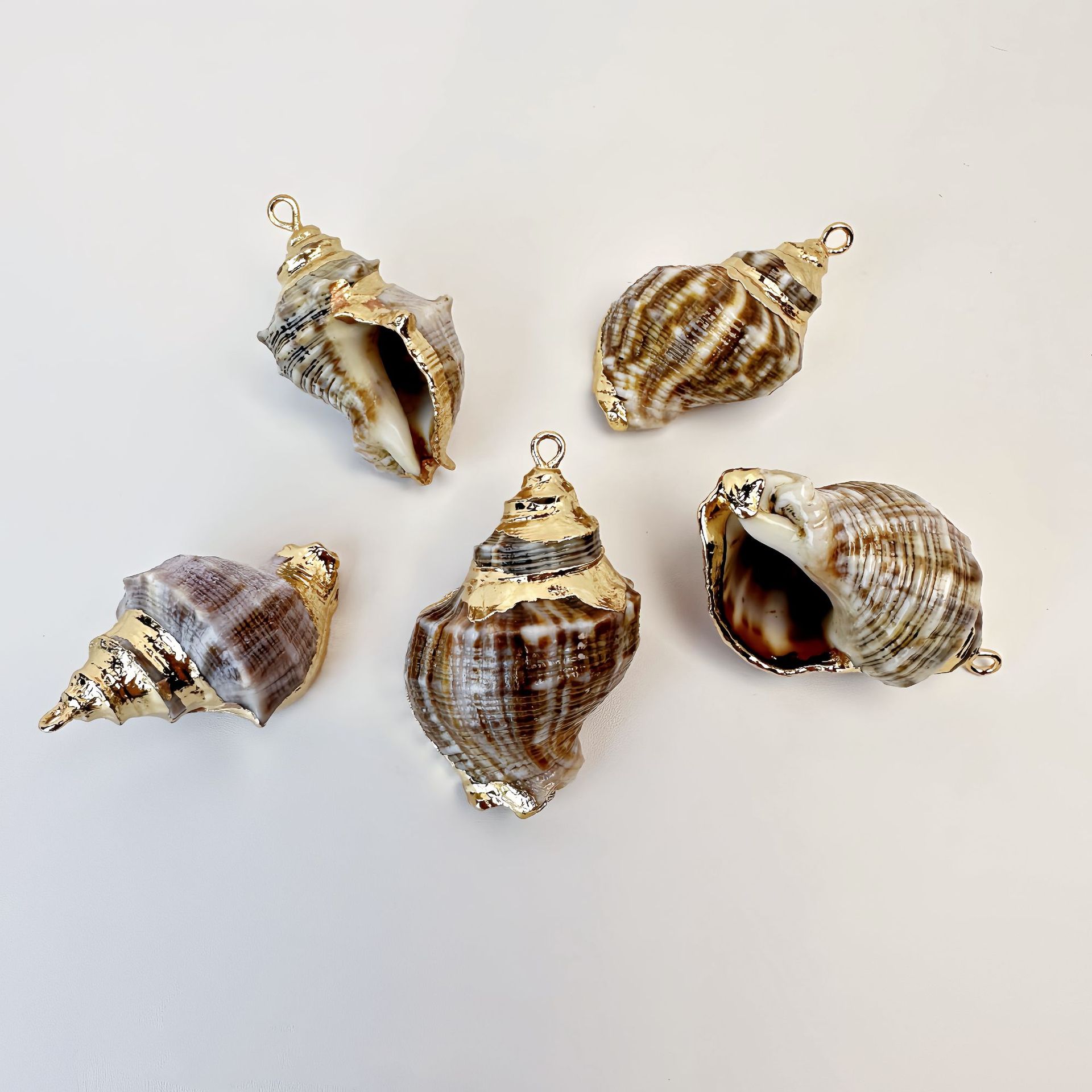 48 하이 콜드 그레이 달팽이