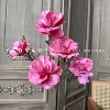 5 water fairy flowers