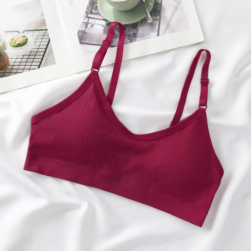 Sin costuras camisola interior chaleco envuelto pecho elástico correa de hombro ajustable inalámbrico sexy espalda sujetador transfronterizo image 8
