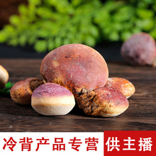 须元果树荷包隐孔菌云南松橄榄归云果中药材冷备药材批发养生药材