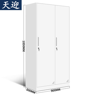 Tianying Locker Staff Cabinet Iron Cabinet Dormitory Steel Wardrobe Locker Two Doors Ty-Yg1621 Others