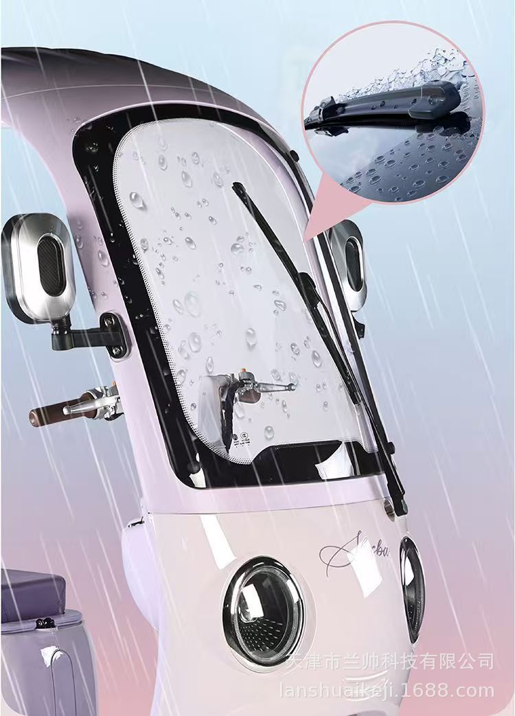 New National Standard Electric Tricycle with Canopy