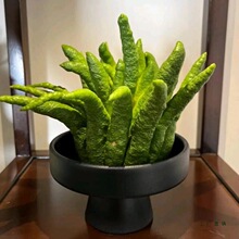 ���ָ̔[���͏d�[�Ŕ[�P�㙴�бP�����^�p���s���������մɻ�ƿ�o