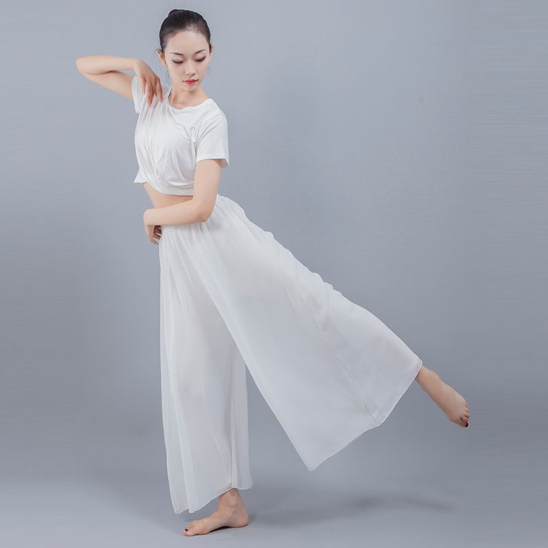 古典舞蹈服女飘逸纱衣汉服艺考表演出服装连衣大摆裙练功服春夏|undefined