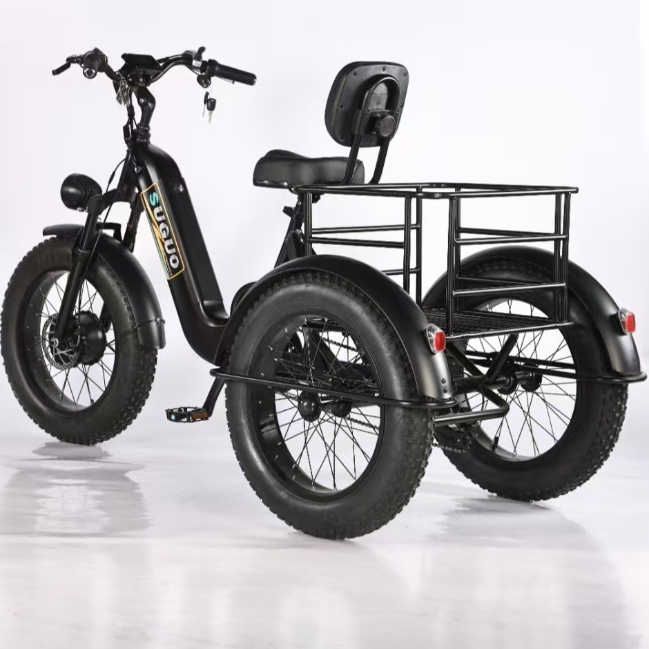 Youmiou 20-inch Fat Tire Snow Electric Tricycle Bicycle Lithium Battery (Auto Parts and Accessories)